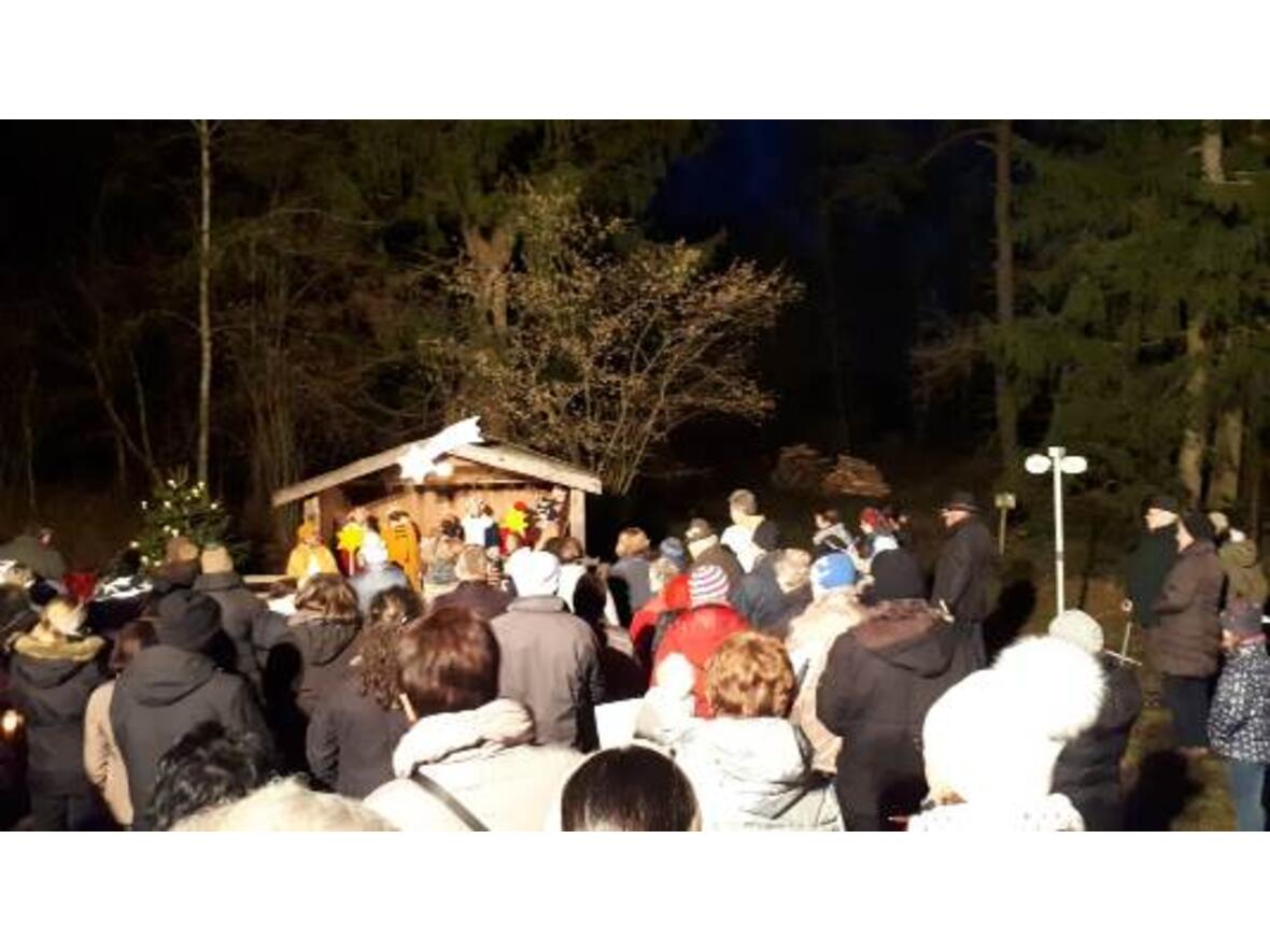 waldweihnacht-beim-klostergut-rettenbach3638529